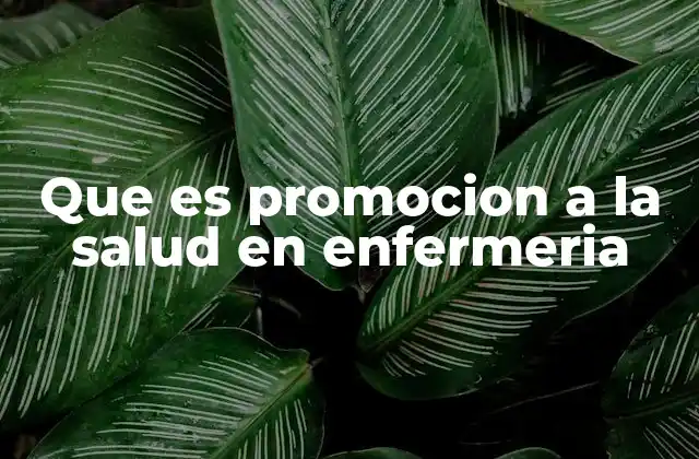 Que es Promocion a la Salud en Enfermeria