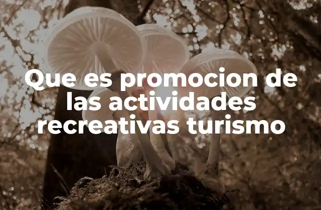 Que es Promocion de las Actividades Recreativas Turismo