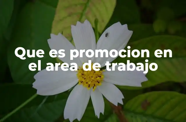 Que es Promocion en el Area de Trabajo