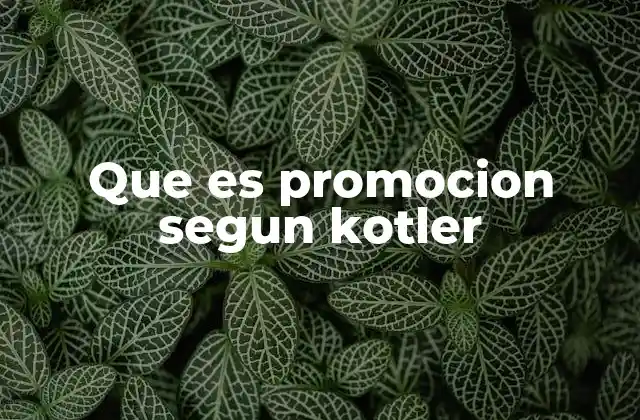 Que es Promocion Segun Kotler