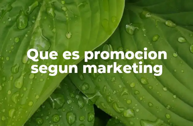 Que es Promocion Segun Marketing