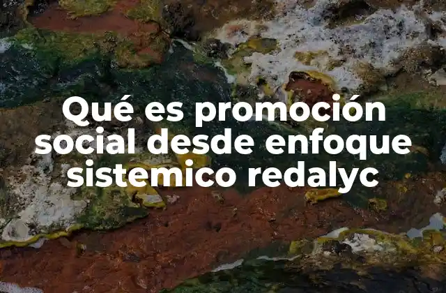 Qué es Promoción Social desde Enfoque Sistemico Redalyc