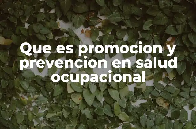 Que es Promocion y Prevencion en Salud Ocupacional