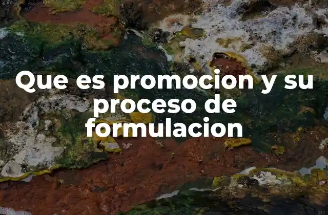 Que es Promocion y Su Proceso de Formulacion
