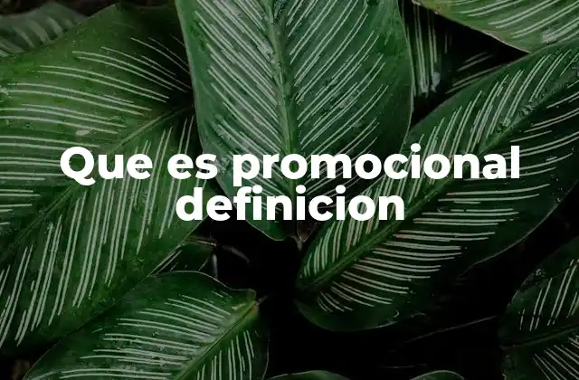 Que es Promocional Definicion