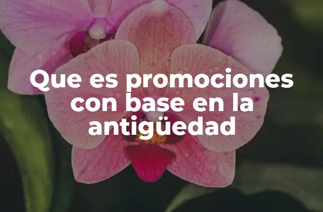 Que es Promociones con Base en la Antigüedad