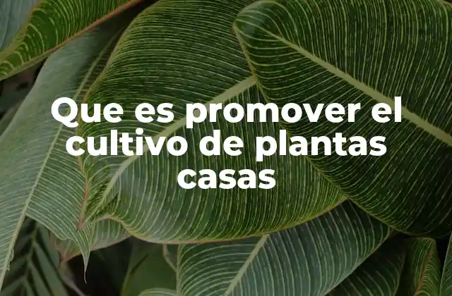 Que es Promover el Cultivo de Plantas Casas