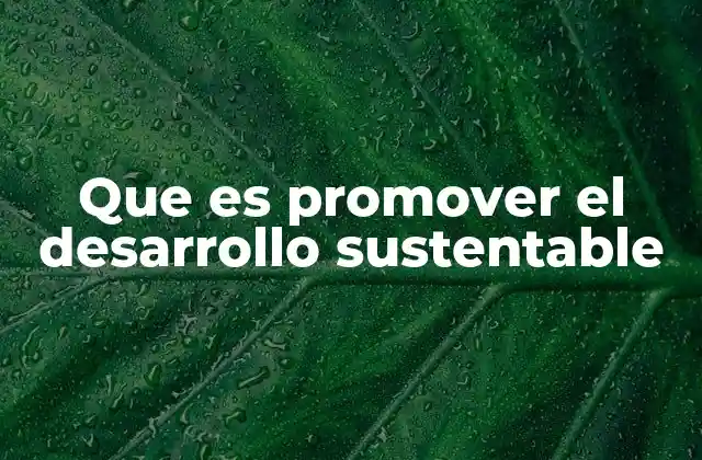 Que es Promover el Desarrollo Sustentable