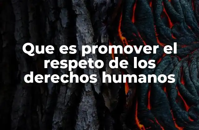 Que es Promover el Respeto de los Derechos Humanos