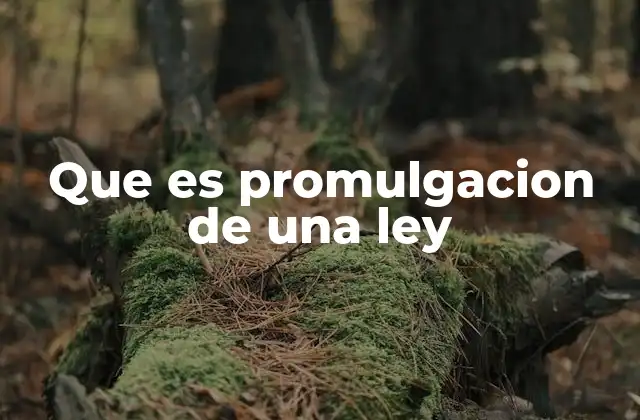 Que es Promulgacion de una Ley