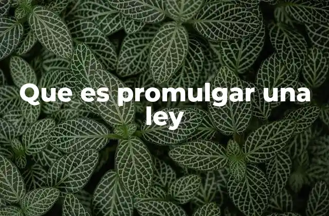 Que es Promulgar una Ley