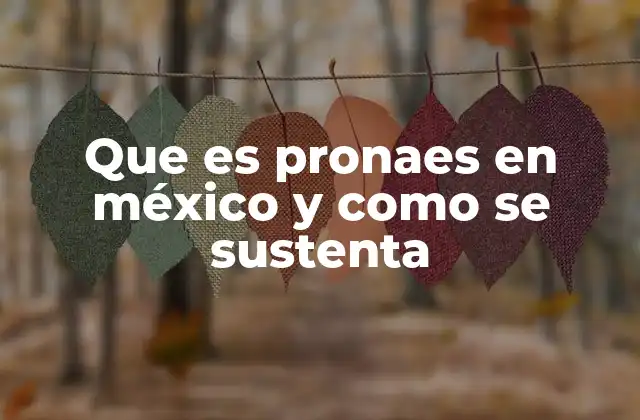 Que es Pronaes en México y como Se Sustenta