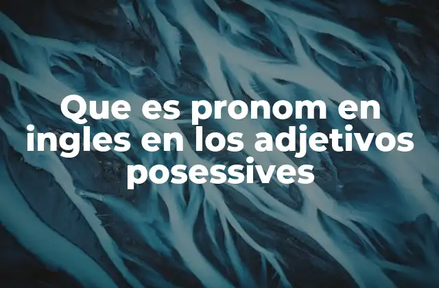 Que es Pronom en Ingles en los Adjetivos Posessives