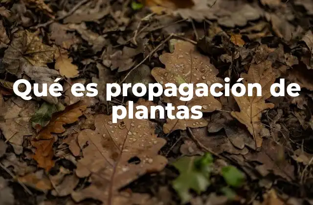Qué es Propagación de Plantas