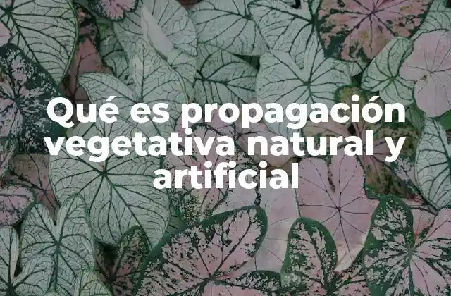 Cómo funciona la propagación vegetativa sin mencionar directamente la palabra clave