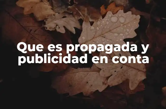 Que es Propagada y Publicidad en Conta
