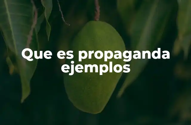 Que es Propaganda Ejemplos