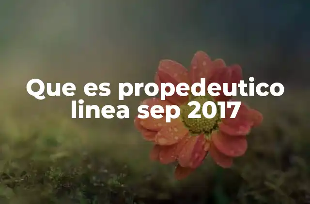 La importancia del propedéutico en la formación universitaria