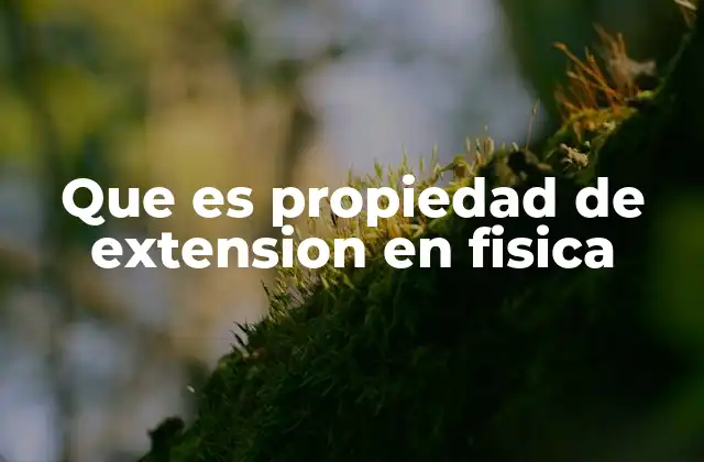 Que es Propiedad de Extension en Fisica 2 Características y ejemplos de las propiedades extensivas