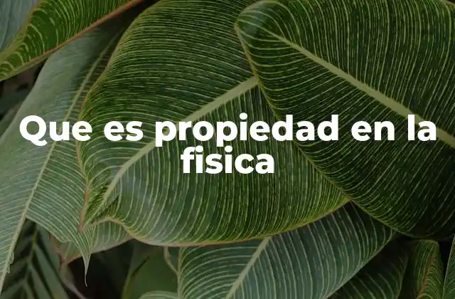 Que es Propiedad en la Fisica