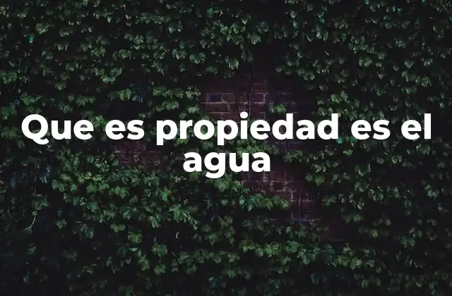 La propiedad del agua en el contexto legal