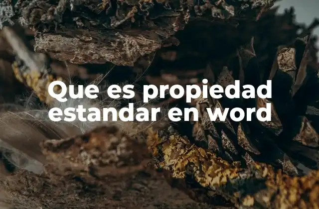 Que es Propiedad Estandar en Word