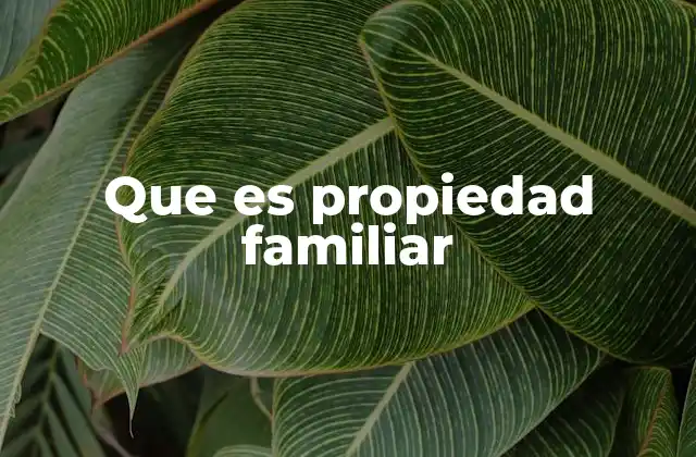 La importancia de la propiedad en el ámbito familiar