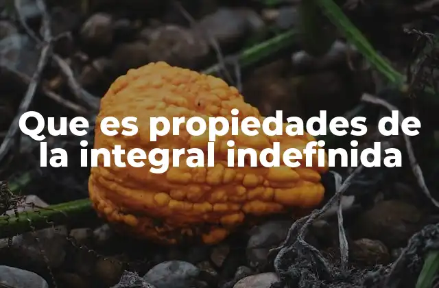 Que es Propiedades de la Integral Indefinida 2 La importancia de entender estas reglas en el cálculo