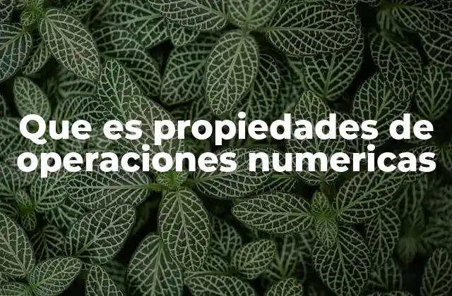 Que es Propiedades de Operaciones Numericas
