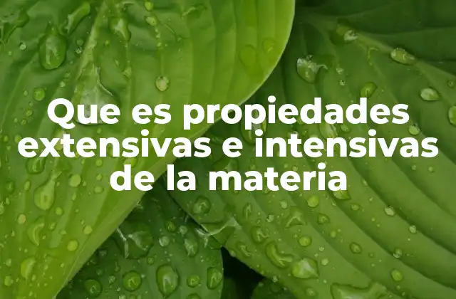 Que es Propiedades Extensivas e Intensivas de la Materia