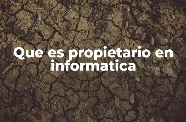 Que es Propietario en Informatica