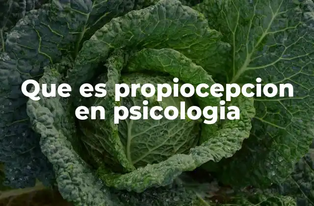 Que es Propiocepcion en Psicologia