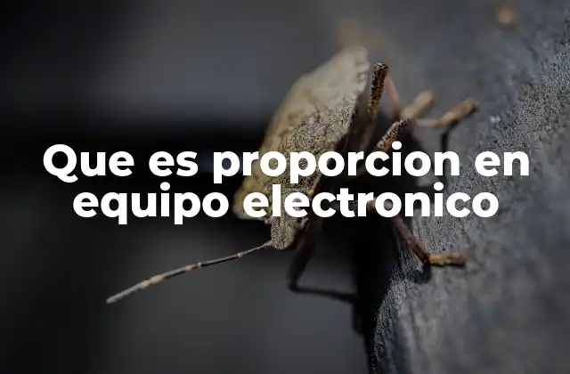 Que es Proporcion en Equipo Electronico 2 El equilibrio entre componentes electrónicos