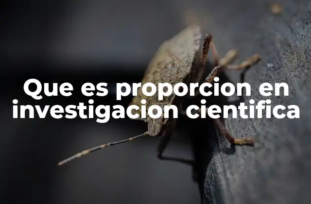 Que es Proporcion en Investigacion Cientifica