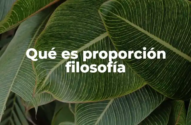 Qué es Proporción Filosofía