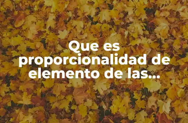 La importancia del equilibrio en los sistemas de contribución