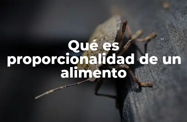 Qué es Proporcionalidad de un Alimento