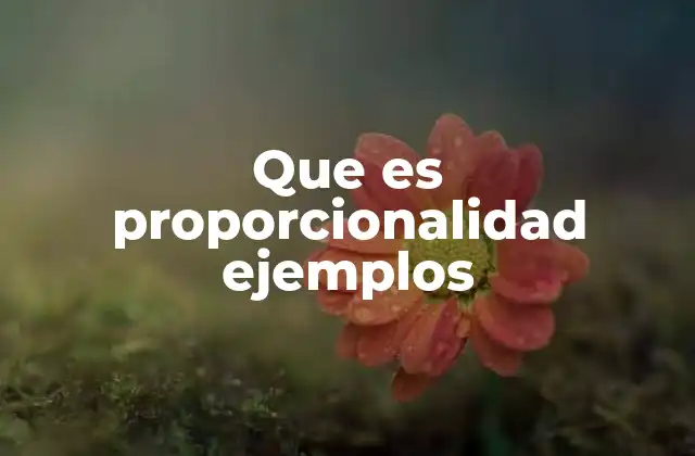 Que es Proporcionalidad Ejemplos