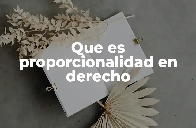 Que es Proporcionalidad en Derecho