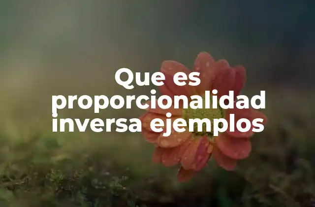 Que es Proporcionalidad Inversa Ejemplos