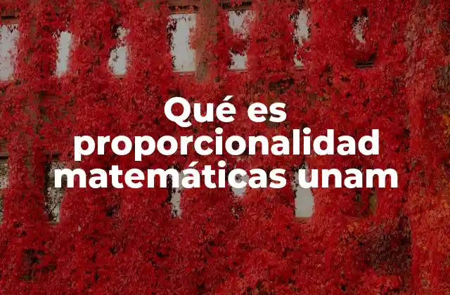 Qué es Proporcionalidad Matemáticas Unam 2 La importancia de la proporcionalidad en el currículo universitario
