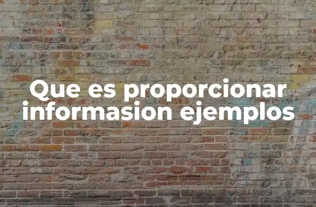 Que es Proporcionar Informasion Ejemplos