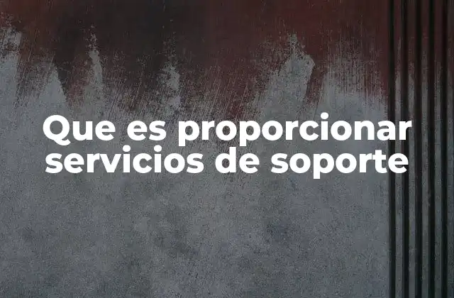 Que es Proporcionar Servicios de Soporte 2 La importancia de la atención en el soporte al cliente