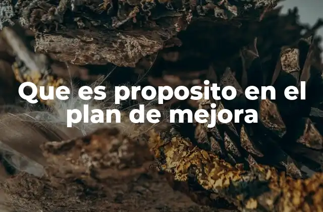 Que es Proposito en el Plan de Mejora