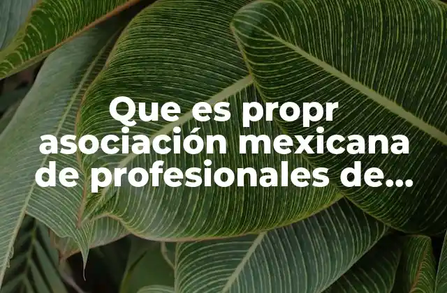 Que es Propr Asociación Mexicana de Profesionales de Relaciones Públicas