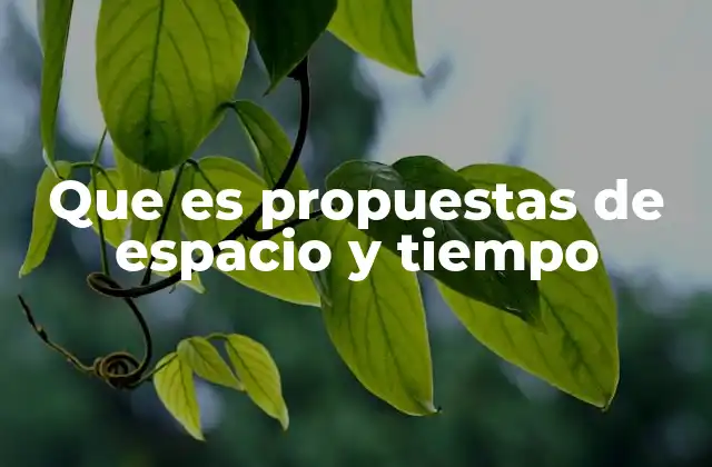 Que es Propuestas de Espacio y Tiempo