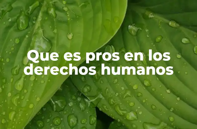 Que es Pros en los Derechos Humanos
