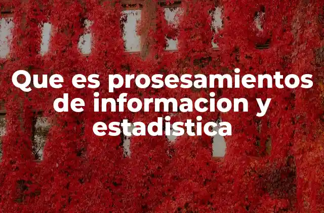 El papel del procesamiento de información en el análisis cuantitativo
