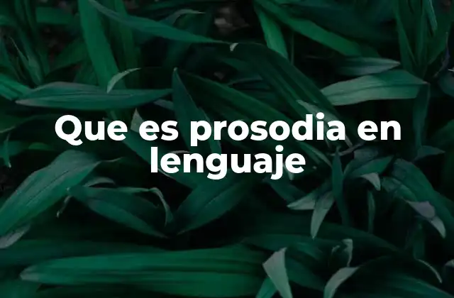Que es Prosodia en Lenguaje