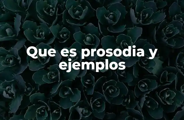 La prosodia en la poesía y la música